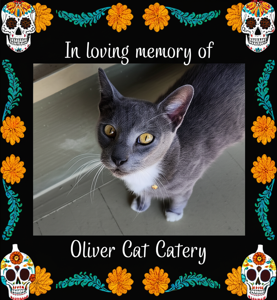 Oliver Cat Frame 7